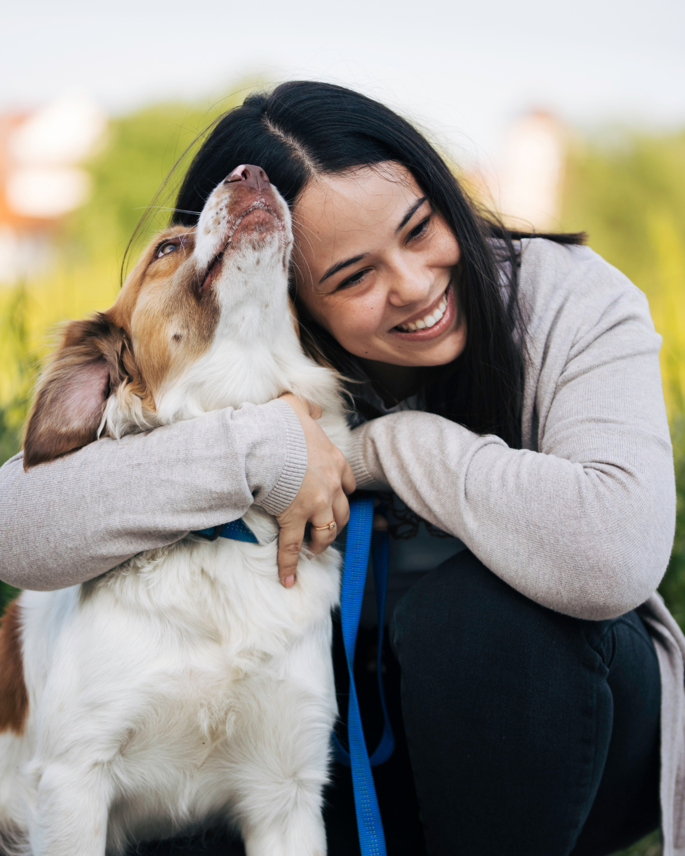 Pet relocation might be part of corporate relocation duty of care